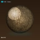 Bark 012