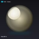 Ivory 001 A