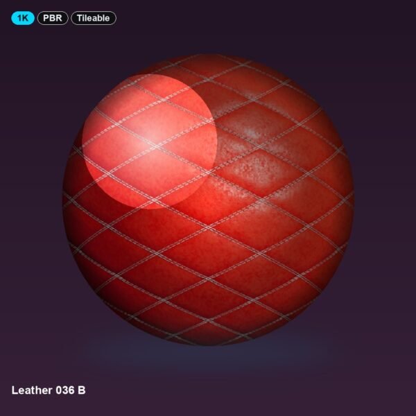 Leather 036 B