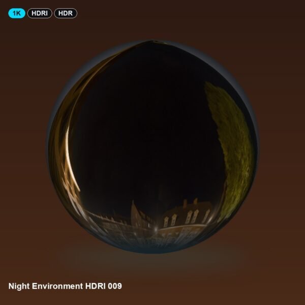 Night Environment HDRI 009