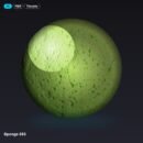 Ambientcg Sponge003