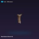 Dead Quiver Branch 02