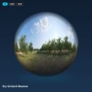 Polyhaven dry orchard meadow