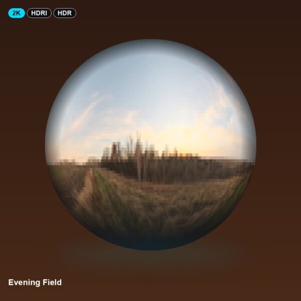 Evening Field