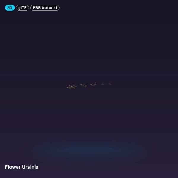 Flower Ursinia