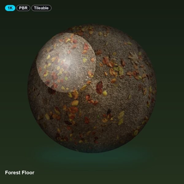 Forest Floor